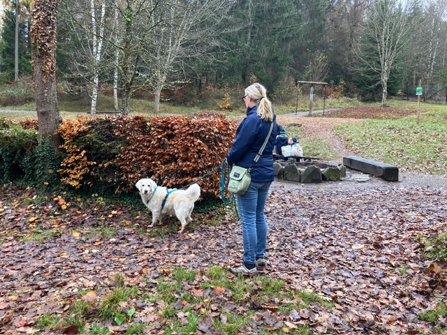 8a691f59-b5c8-46ac-a3d8-8912af4c1edd