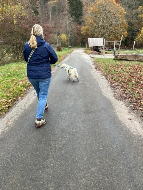 8b12fddc-36b1-43df-9e4e-b50fc3da6f4b