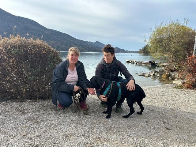 c52992fa-e4ca-423a-9e52-08d3e4a78cac