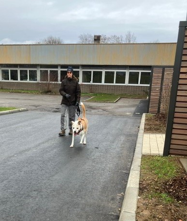 8aa74f1d-5a3b-4b67-8632-c9999904783d