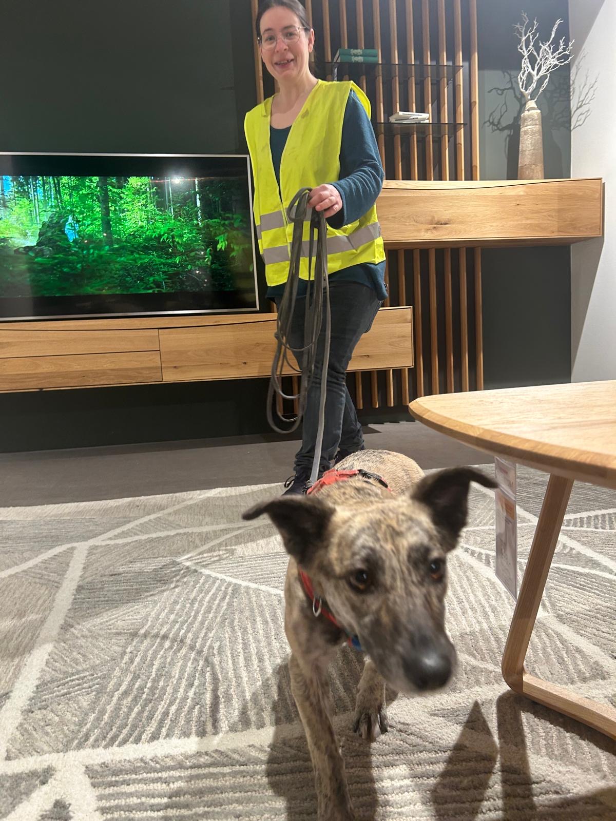 40a311c4-6740-4ad2-b595-c8fbb1138df3