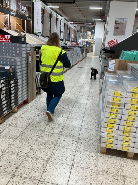 635bbf46-7e39-42cd-a71a-a6b37329dcf8