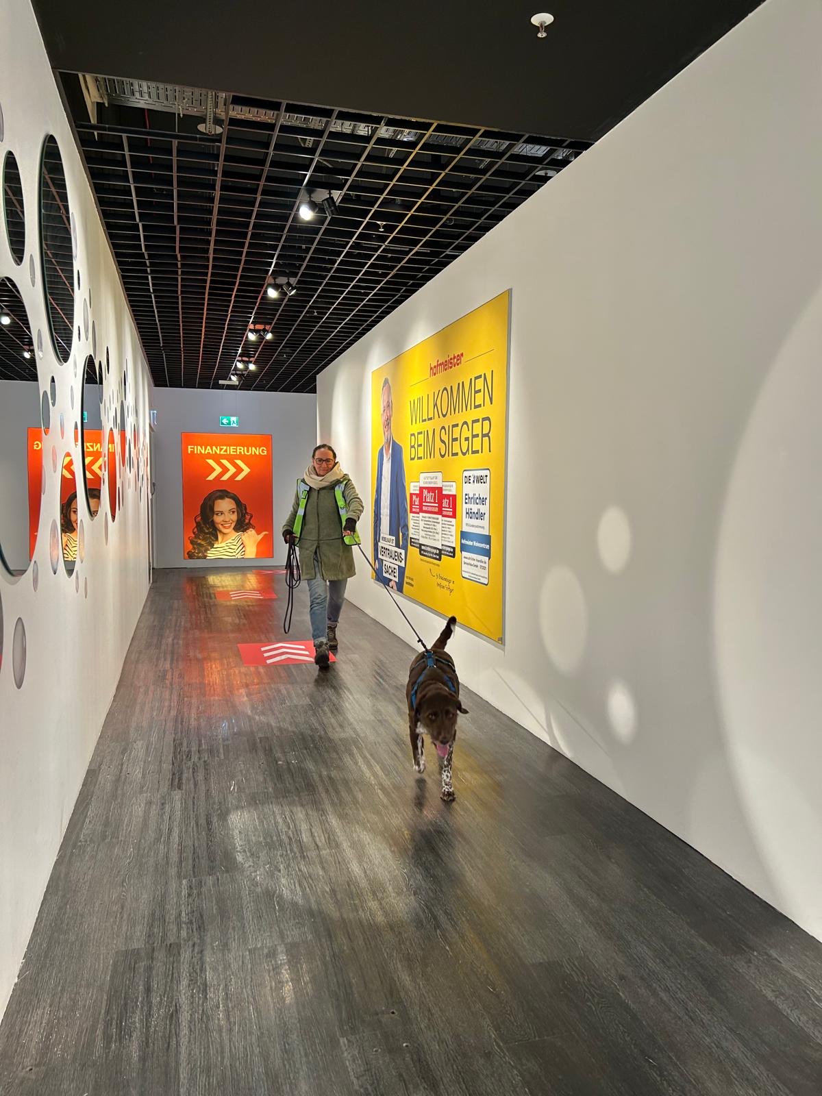 8a5945cf-abb0-4b52-a260-351508184a04