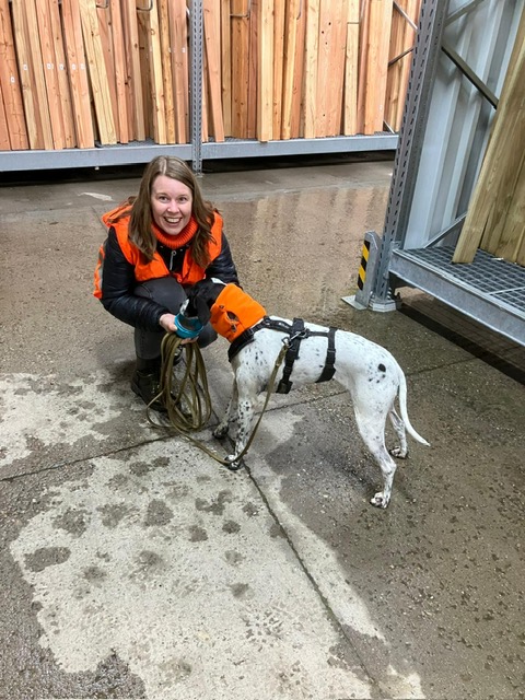 b36cbc55-1ce6-4a4e-aff7-f0d180388ec6