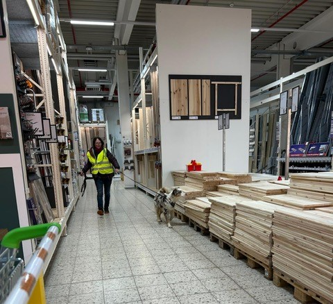 d1ad14d3-e493-4b29-b289-5aa93db92f65