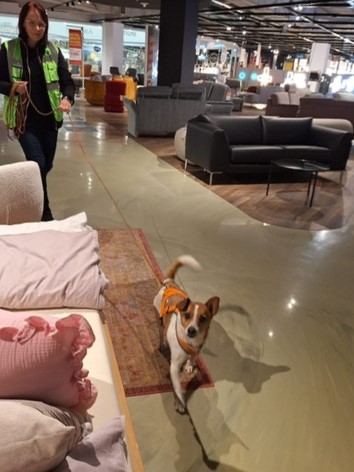 efce7c32-3a42-4aee-bac1-081d8da426e9