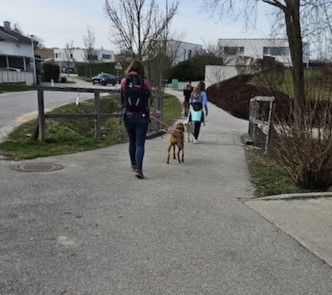 865ad231-1ba5-4470-ba96-44d32d9a0aef