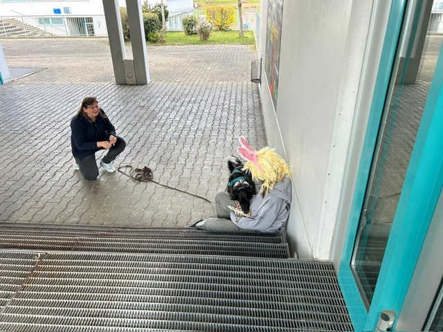 0b0c4e3f-f5c0-419f-94e1-3f4b67e9ad2e