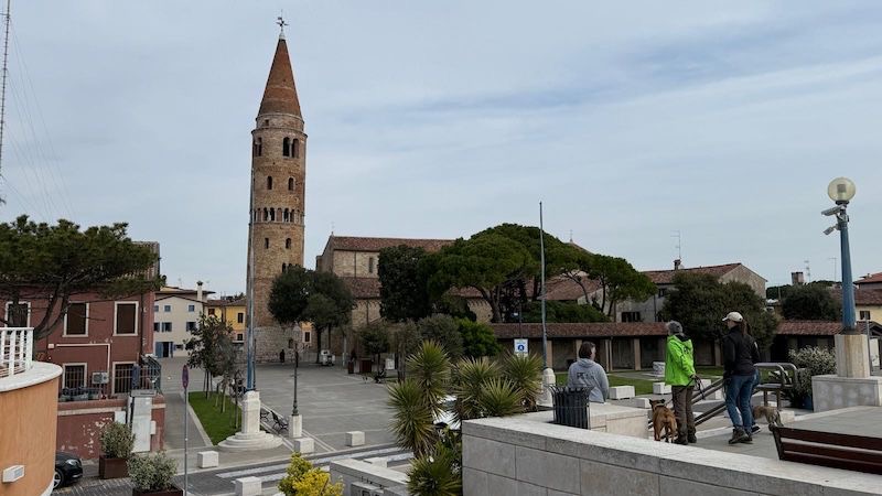 2917943d-c923-46a0-b3d4-b88dc50643d1