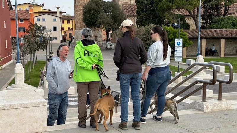 36f11e72-a46c-4b5a-b11e-c14f2b26d636