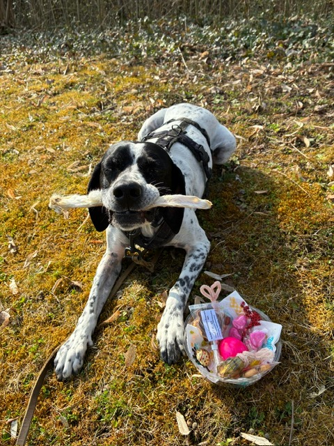 4dce57b4-aa3d-475e-bff2-fad10cca7dba