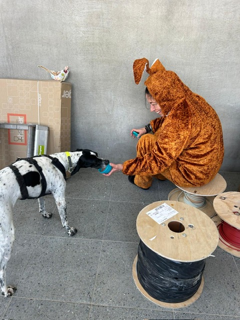 99ae0f87-5605-4e5a-97a2-bef1cda4d5df