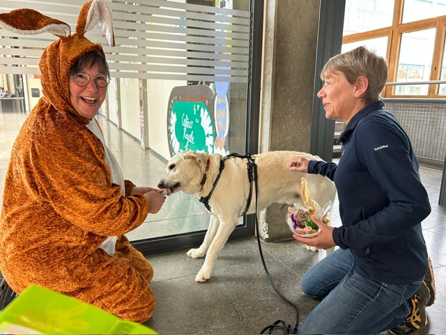 a3bd599c-3c2b-441e-9afb-f24c5b01472d