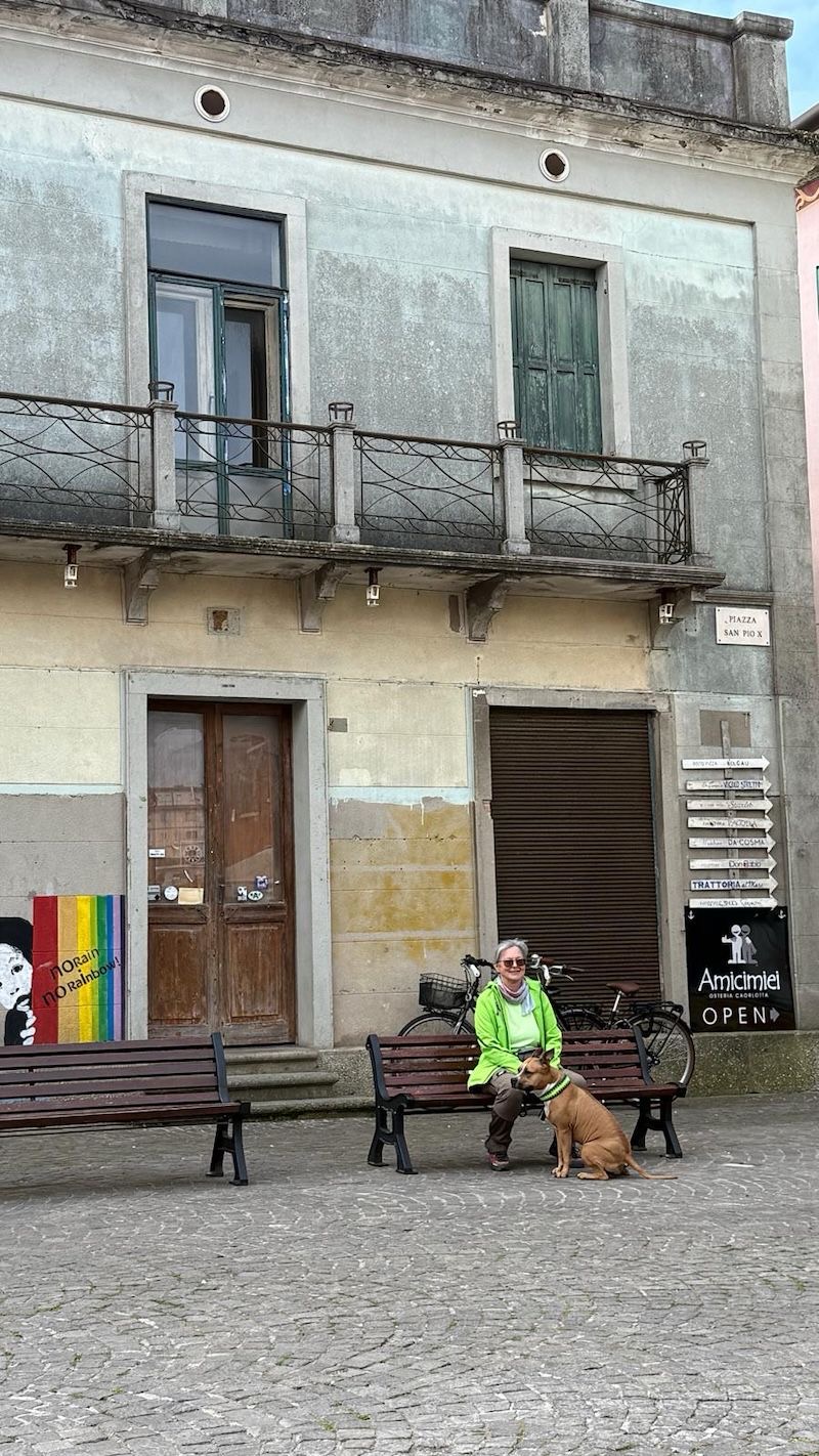 a6df6358-d802-49cb-96f6-98d9dc4abd1f