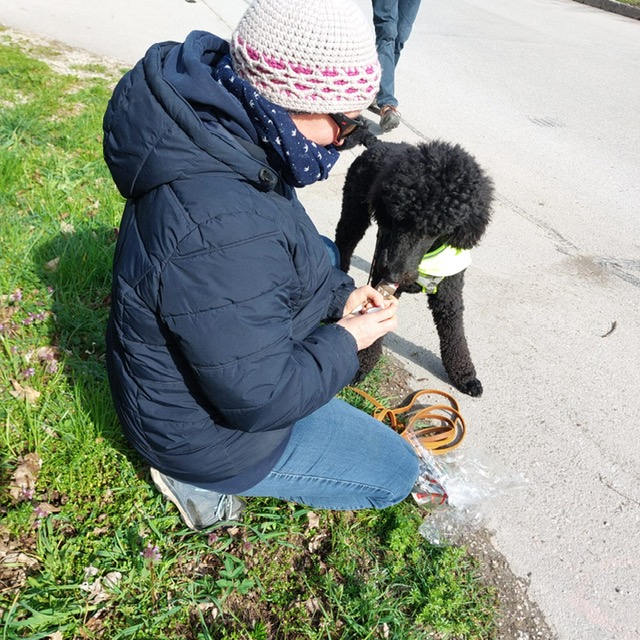 c3c4a355-748a-4fbf-93d1-f3c0ac79ac42