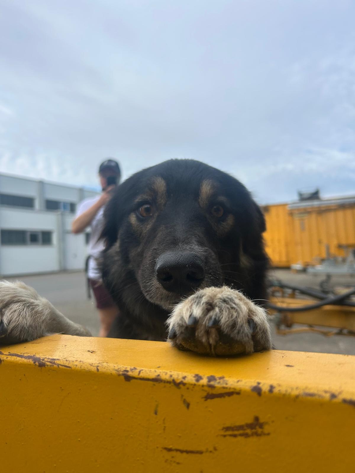 b082bd3a-bced-4622-995a-fc93b1a83544