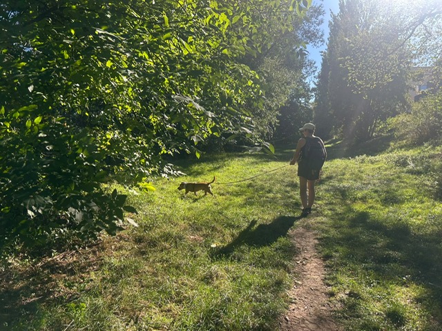 BCE3E290-D914-4982-B5AD-D57C3DD0F8C4